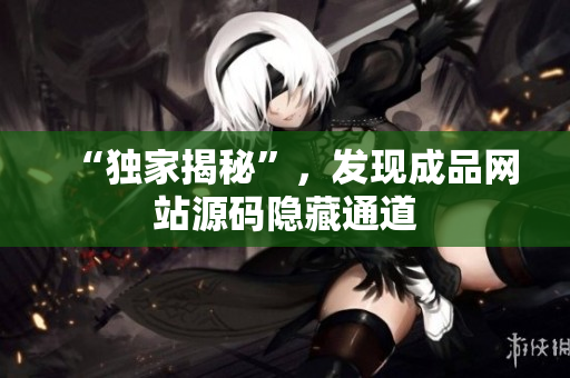 “独家揭秘”，发现成品网站源码隐藏通道