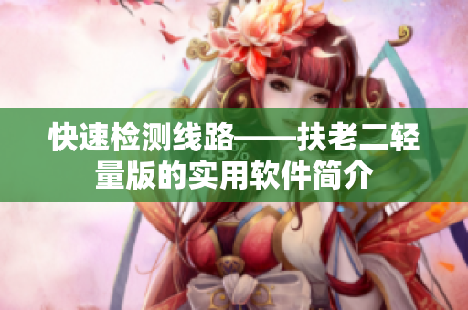 快速检测线路——扶老二轻量版的实用软件简介