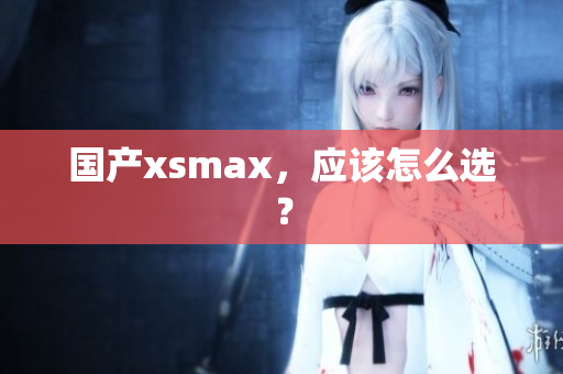 国产xsmax，应该怎么选？