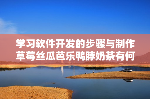 学习软件开发的步骤与制作草莓丝瓜芭乐鸭脖奶茶有何相似之处
