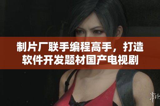 制片厂联手编程高手，打造软件开发题材国产电视剧