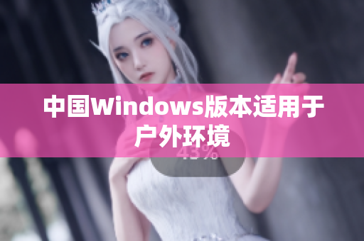 中国Windows版本适用于户外环境
