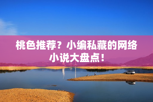 桃色推荐？小编私藏的网络小说大盘点！