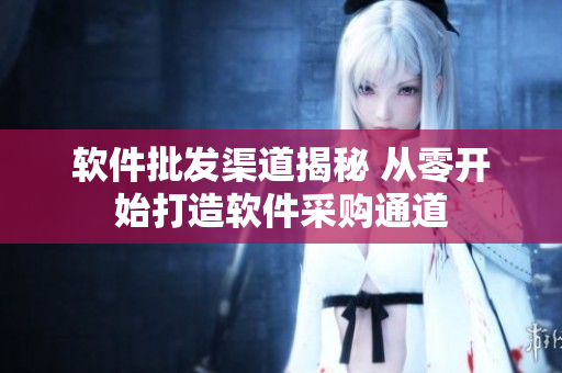 软件批发渠道揭秘 从零开始打造软件采购通道