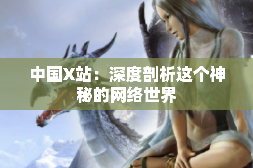 中国X站：深度剖析这个神秘的网络世界