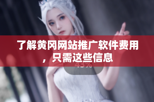 了解黄冈网站推广软件费用，只需这些信息