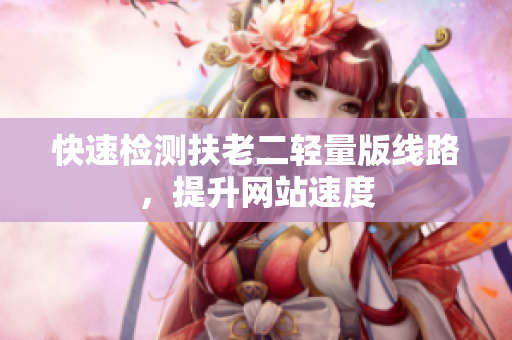 快速检测扶老二轻量版线路，提升网站速度