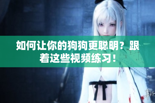 如何让你的狗狗更聪明？跟着这些视频练习！