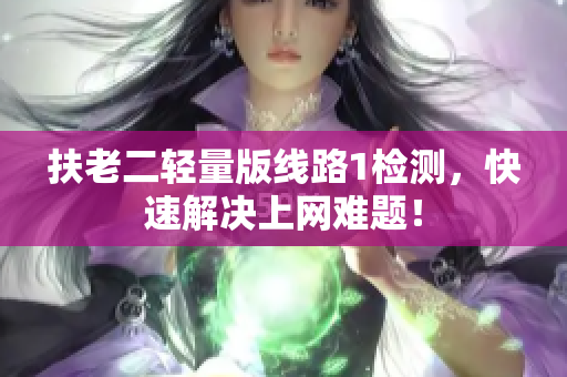 扶老二轻量版线路1检测，快速解决上网难题！
