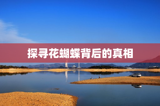 探寻花蝴蝶背后的真相
