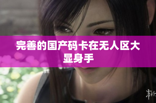 完善的国产码卡在无人区大显身手