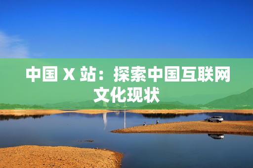 中国 X 站：探索中国互联网文化现状