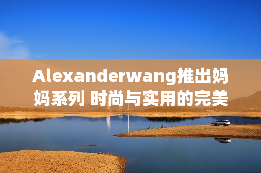 Alexanderwang推出妈妈系列 时尚与实用的完美结合