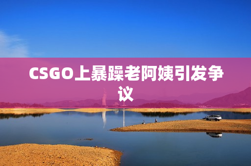 CSGO上暴躁老阿姨引发争议