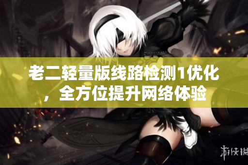 老二轻量版线路检测1优化，全方位提升网络体验