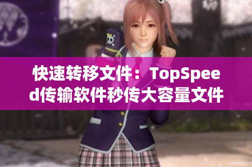 快速转移文件：TopSpeed传输软件秒传大容量文件！