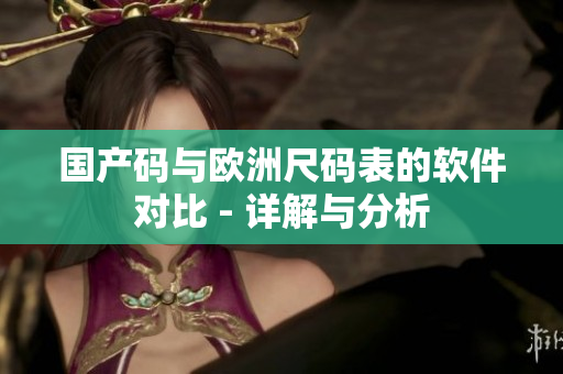 国产码与欧洲尺码表的软件对比 - 详解与分析
