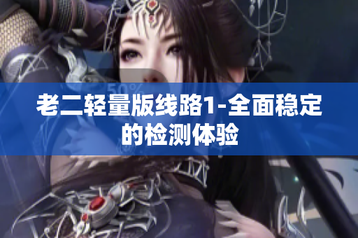 老二轻量版线路1-全面稳定的检测体验