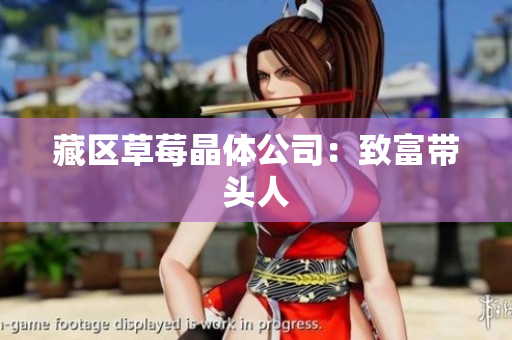 藏区草莓晶体公司：致富带头人