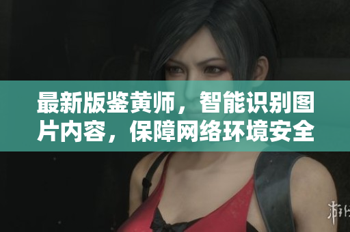 最新版鉴黄师，智能识别图片内容，保障网络环境安全