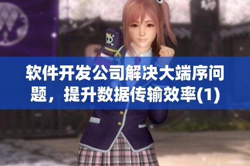 软件开发公司解决大端序问题，提升数据传输效率(1)