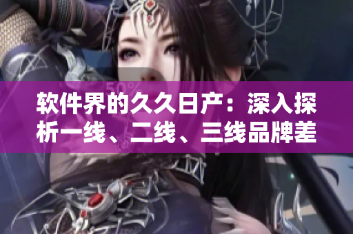 软件界的久久日产：深入探析一线、二线、三线品牌差异