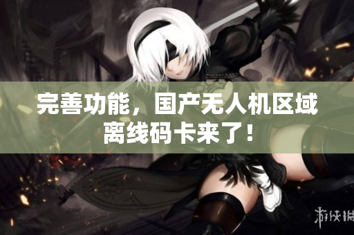 完善功能，国产无人机区域离线码卡来了！