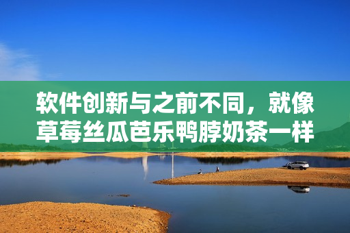 软件创新与之前不同，就像草莓丝瓜芭乐鸭脖奶茶一样，方法独特易学