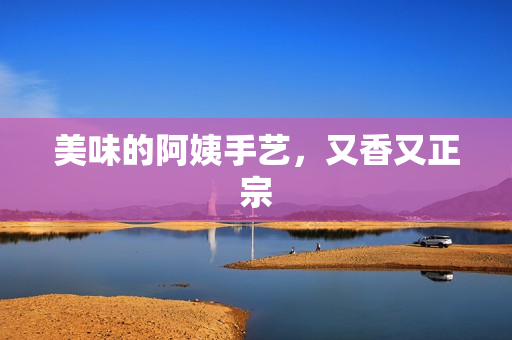 美味的阿姨手艺，又香又正宗
