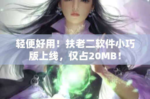 轻便好用！扶老二软件小巧版上线，仅占20MB！