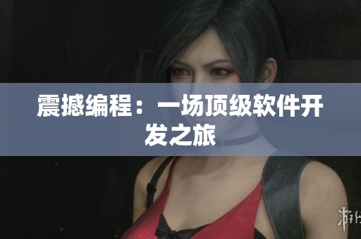 震撼编程：一场顶级软件开发之旅