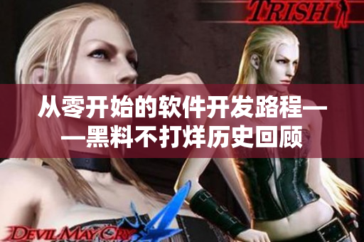 从零开始的软件开发路程——黑料不打烊历史回顾