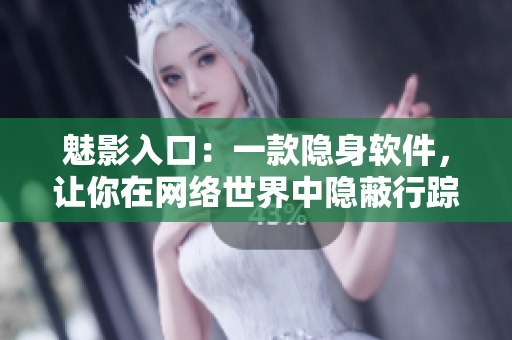 魅影入口：一款隐身软件，让你在网络世界中隐蔽行踪