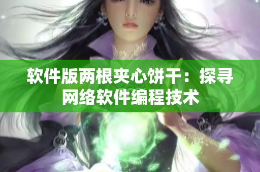 软件版两根夹心饼干：探寻网络软件编程技术