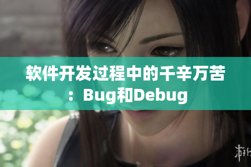 软件开发过程中的千辛万苦：Bug和Debug
