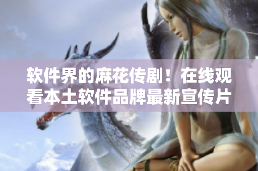 软件界的麻花传剧！在线观看本土软件品牌最新宣传片