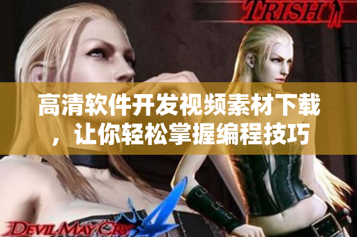 高清软件开发视频素材下载，让你轻松掌握编程技巧