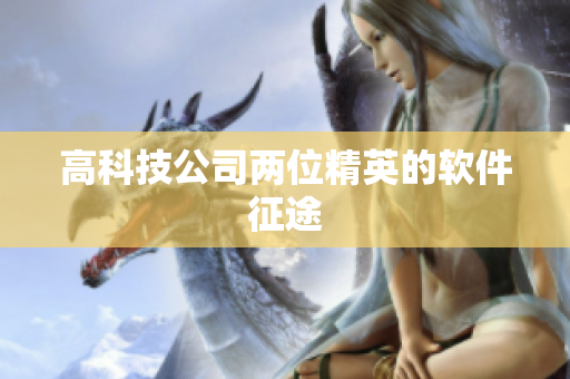 高科技公司两位精英的软件征途