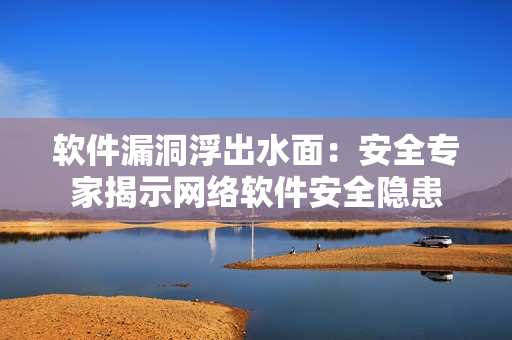 软件漏洞浮出水面：安全专家揭示网络软件安全隐患