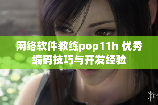 网络软件教练pop11h 优秀编码技巧与开发经验