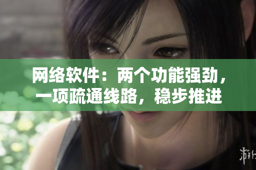 网络软件：两个功能强劲，一项疏通线路，稳步推进