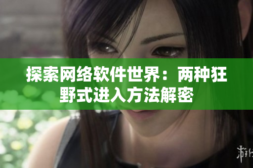 探索网络软件世界：两种狂野式进入方法解密