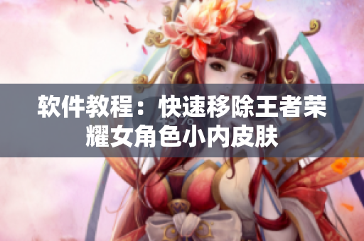 软件教程：快速移除王者荣耀女角色小内皮肤