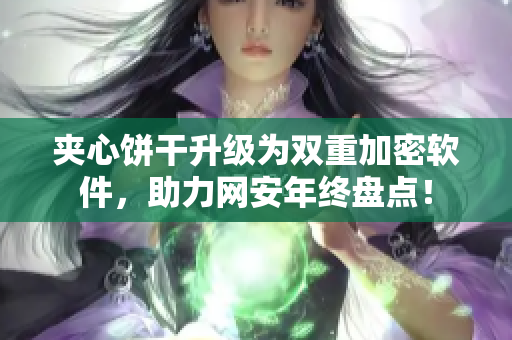 夹心饼干升级为双重加密软件，助力网安年终盘点！