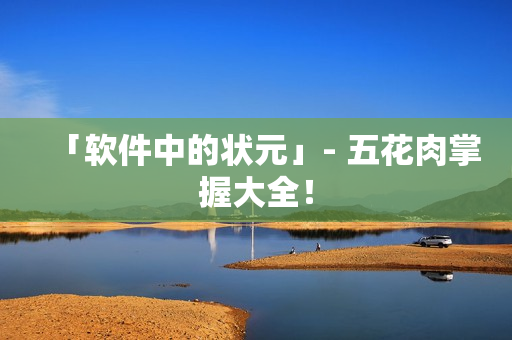 「软件中的状元」- 五花肉掌握大全！