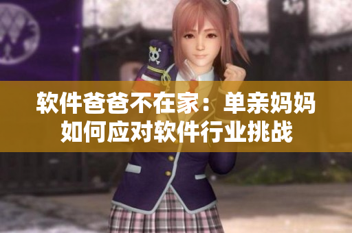 软件爸爸不在家：单亲妈妈如何应对软件行业挑战