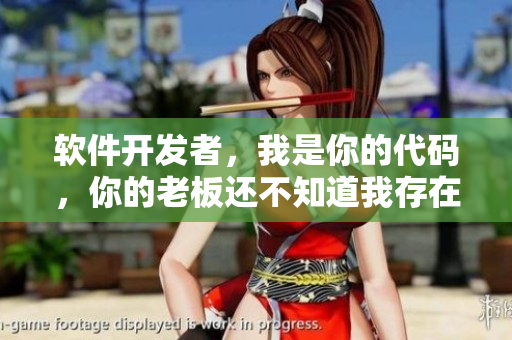 软件开发者，我是你的代码，你的老板还不知道我存在