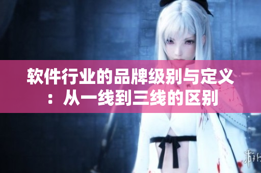 软件行业的品牌级别与定义：从一线到三线的区别