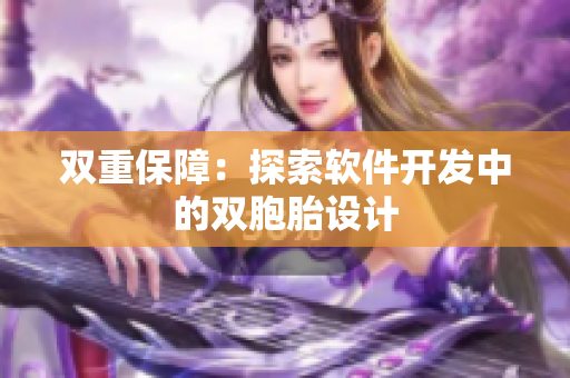 双重保障：探索软件开发中的双胞胎设计