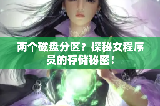 两个磁盘分区？探秘女程序员的存储秘密！